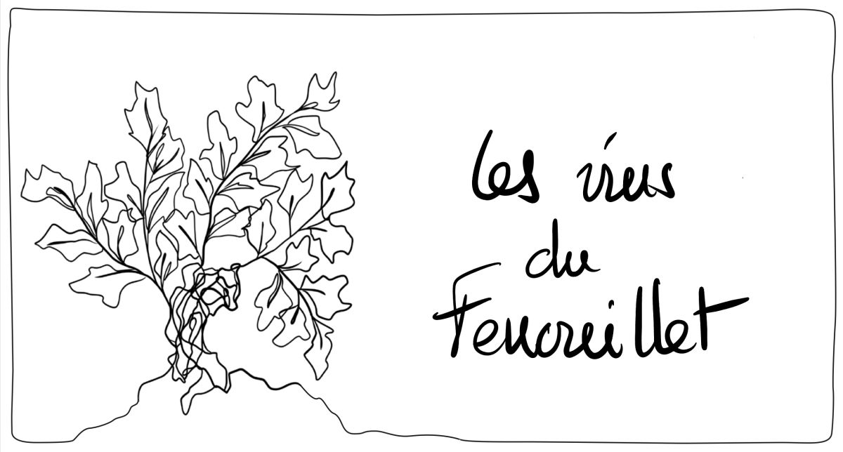 Les vins du fenouillet