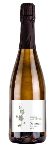 Saumur Brut