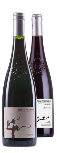 Anjou Villages - Harmonie